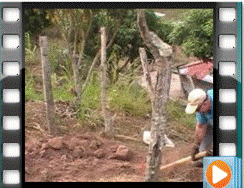 Missioners and villagers dig trenches for water pipes.